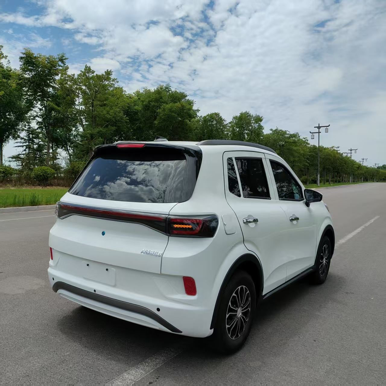 HBLC Factory Direct Low-Speed 4-Wheeler Electric Car for Adults - Hebei Laichuang Industrial Co., Lt