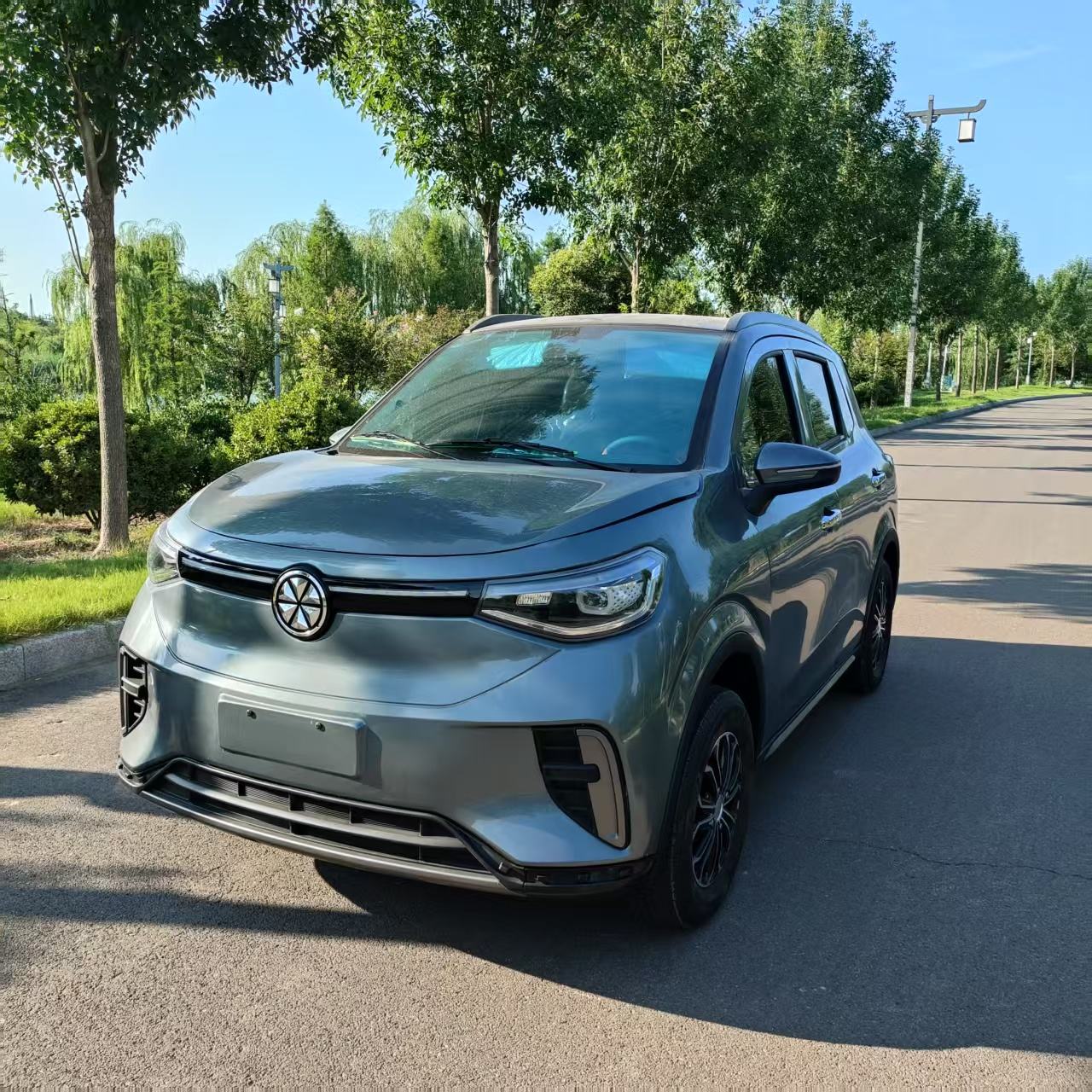 Long Range Lithium Battery New Energy Electric Vehicle for Adults | Hebei Laichuang Industrial Co.,